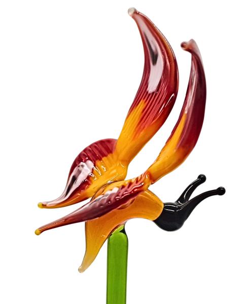 Pflanzenstecker, Schmetterling (gelb-rot)